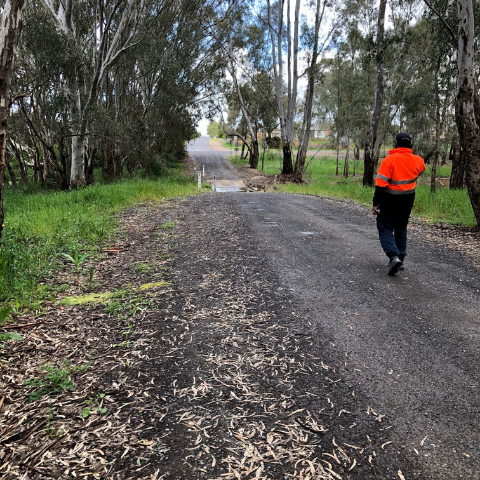 Sarah Street looking to Barkly Street