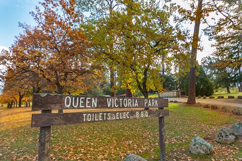 Queen Vic Gardens_web.jpg