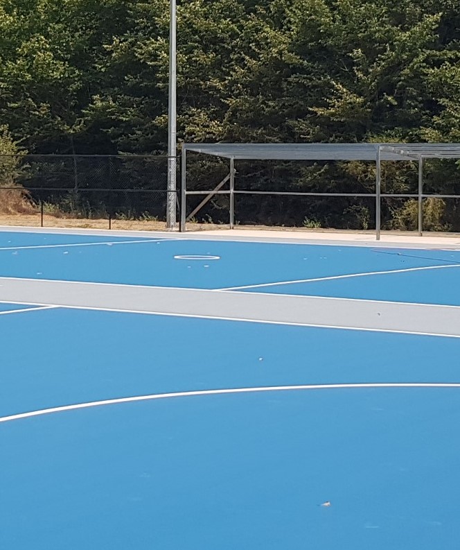 Butson park netball Courts.jpg