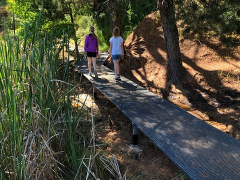 Lake Sambell boardwalk_web.jpg