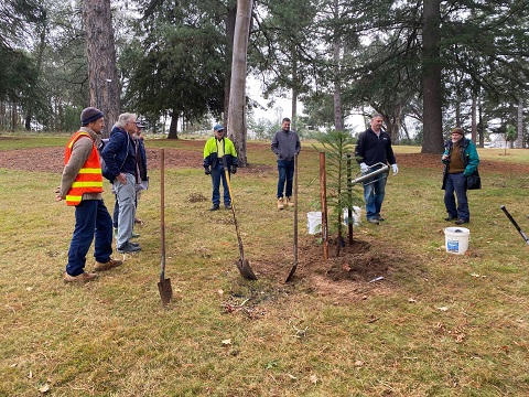 Tree Planting.jpg