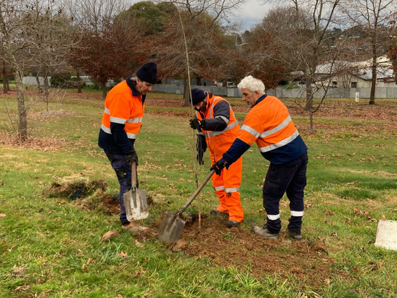 Tree planting.png