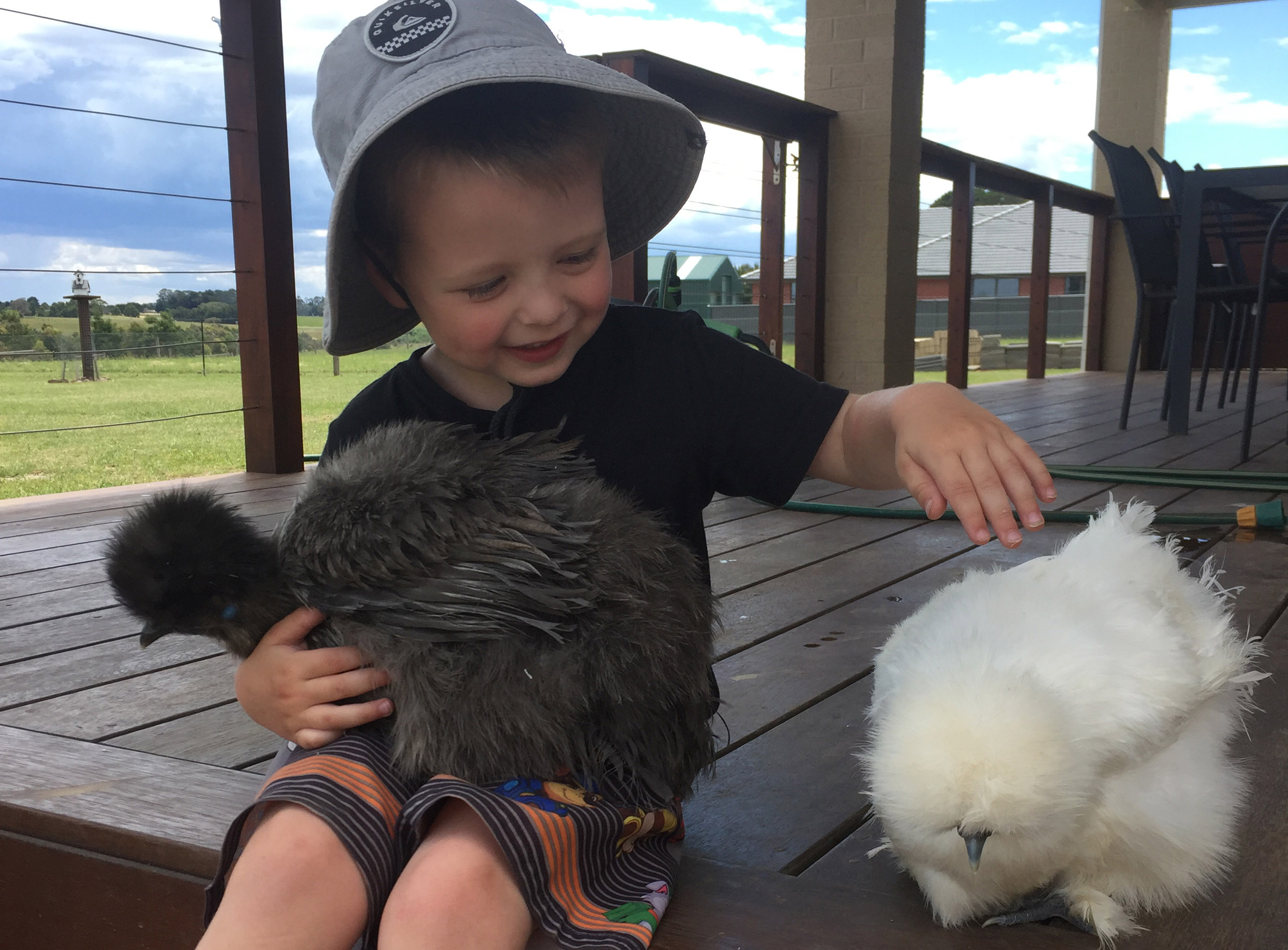 Young boy on a verandah with two chickens