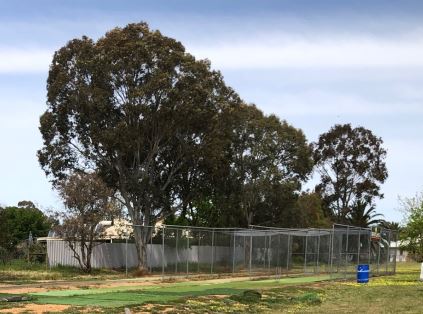 Barkly Park Cricket nets.JPG