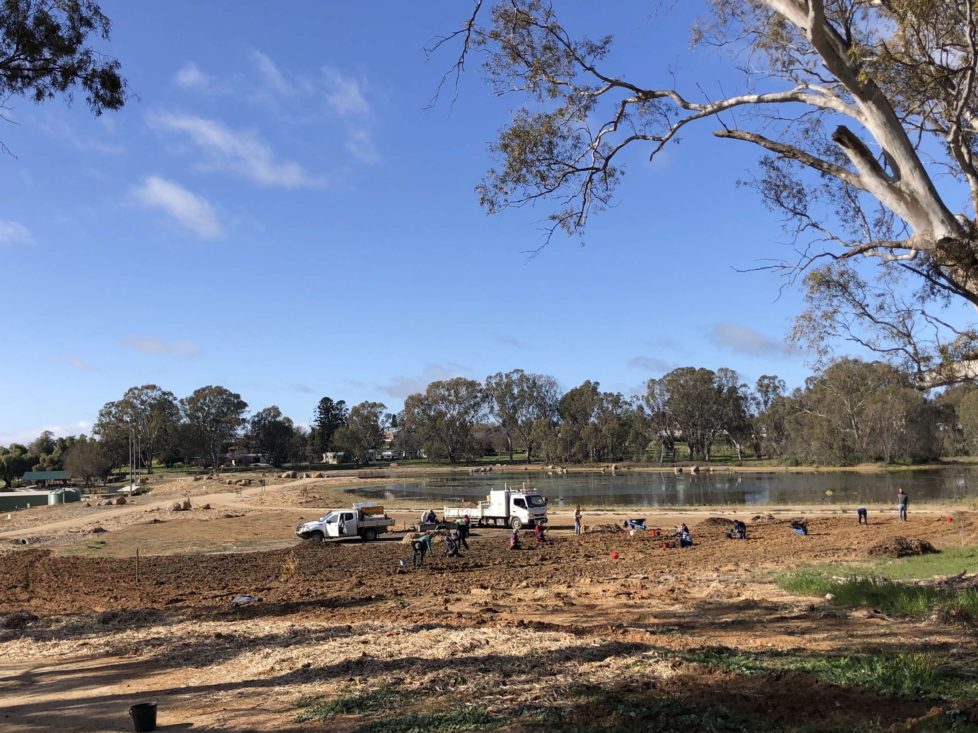 Constructed pathways around Lake King